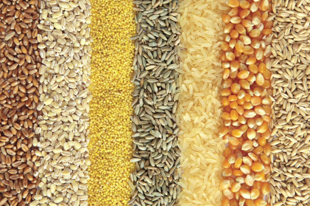 NON-GMO Grains