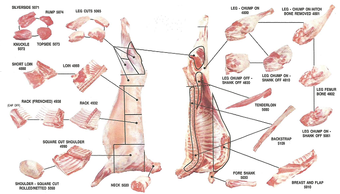 Halal Meat. Beef, Mutton, Lamb And Goat