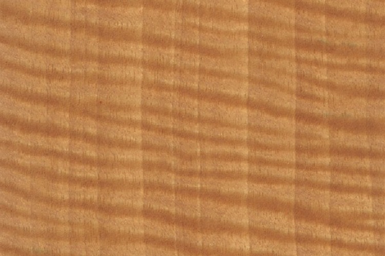 afrormosia wood