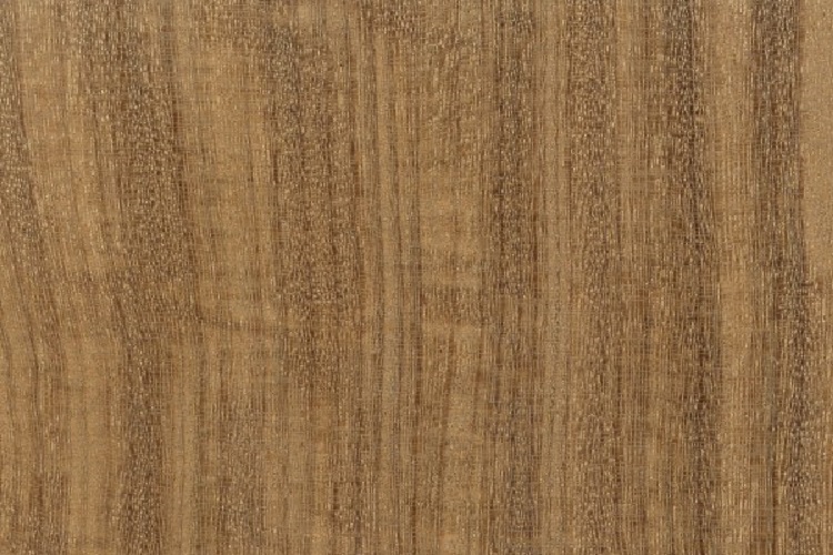 afrormosia wood