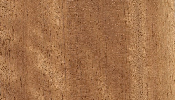 zebrawood