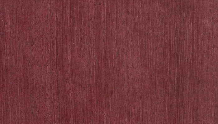 african-purpleheart