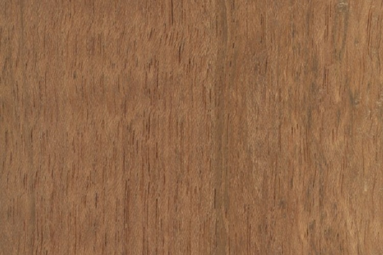 jatoba