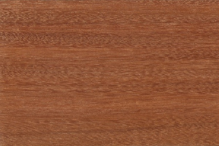 santos-mahogany1