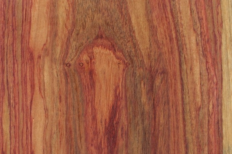 tulipwood-sealed